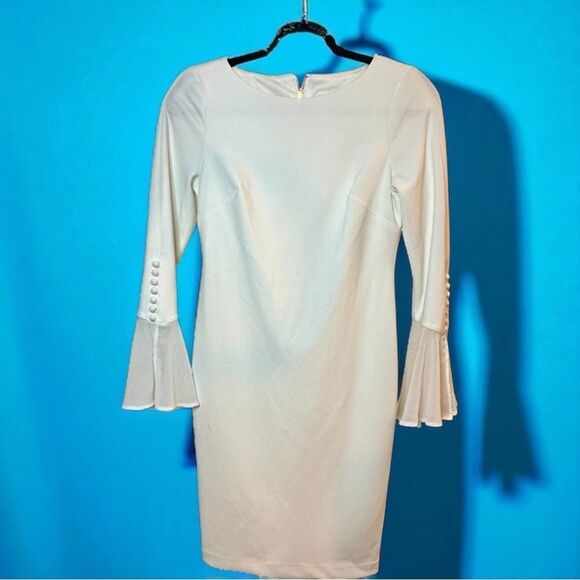 Calvin Klein Chiffon-Bell Sleeve with Pearls White Dress BEAUTIFUL Sz 6.5 Petite - Picture 6 of 9